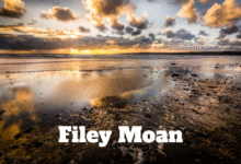 Filey Moan