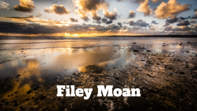 Filey Moan