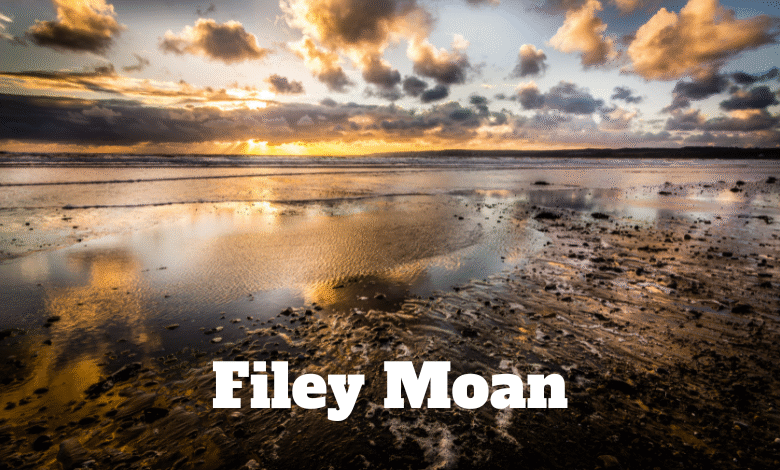 Filey Moan